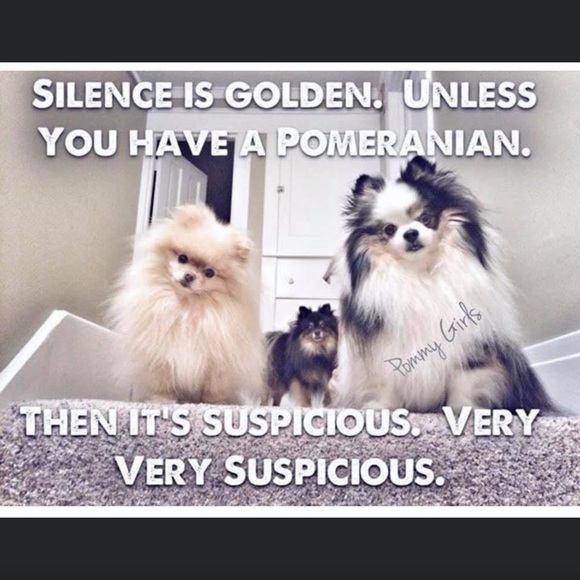 Meet your Posher, Laurie - Picture 7 of 15